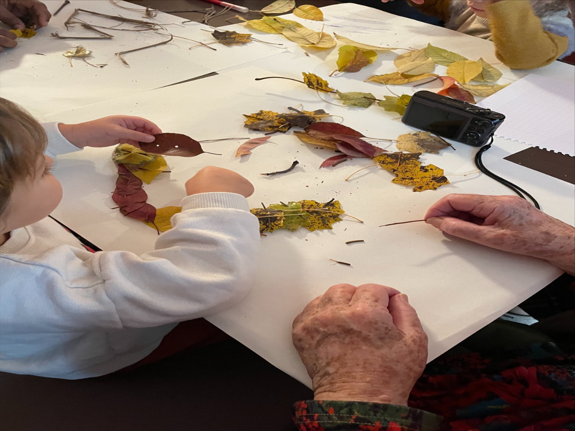 L'enfant participant à l'atelier Landart travaillant avec les feuilles avec un senior de la residence. On voit ses mains posées sur la table. 